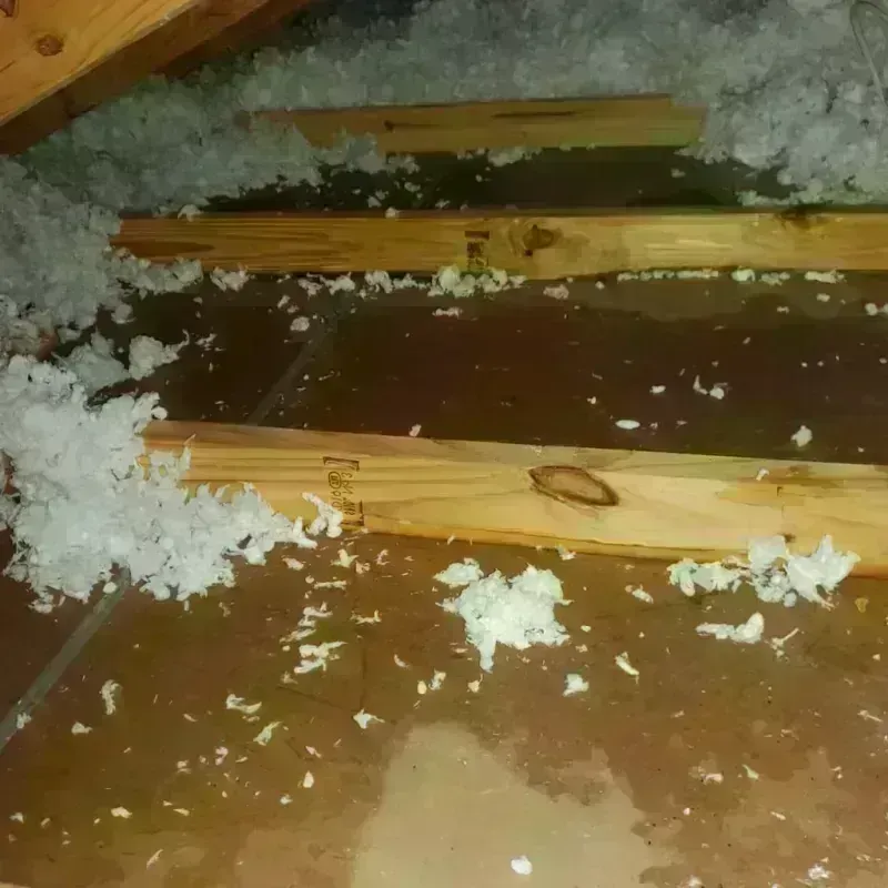 Attic Water Damage in Minor, AL