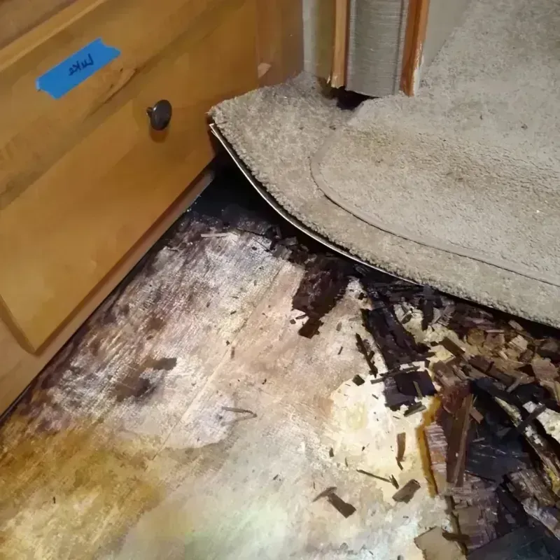 Wood Floor Water Damage in Minor, AL